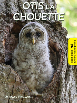cover image of Otis La Chouette (Otis the Owl)